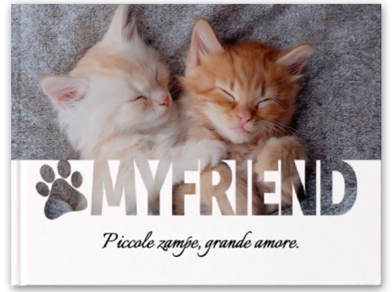 ANIMALI-MYFRIENDS-GATTO