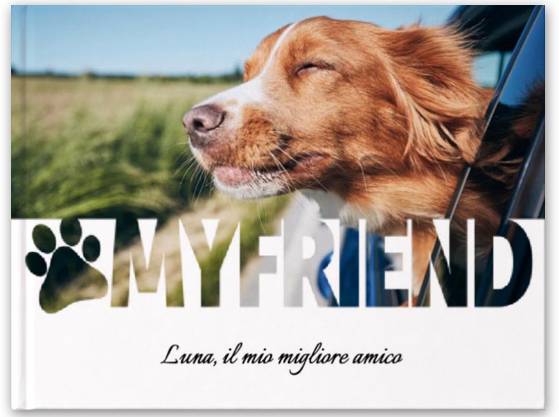 ANIMALI-MYFRIENDS