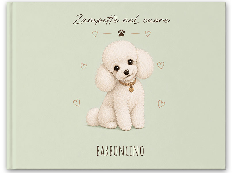 CANE-BARBONCINO