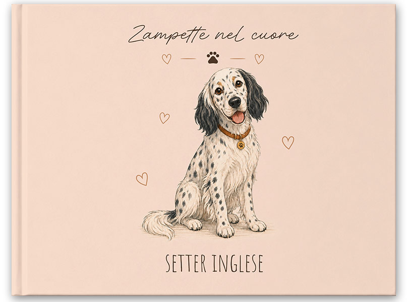 CANE-SETTER-INGLESE