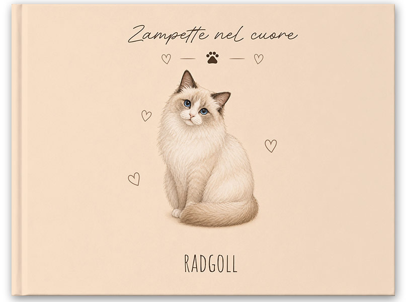 GATTO-RADGOLL