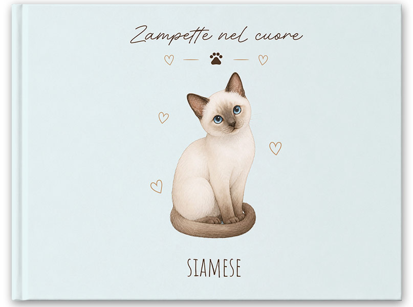 GATTO-SIAMESE