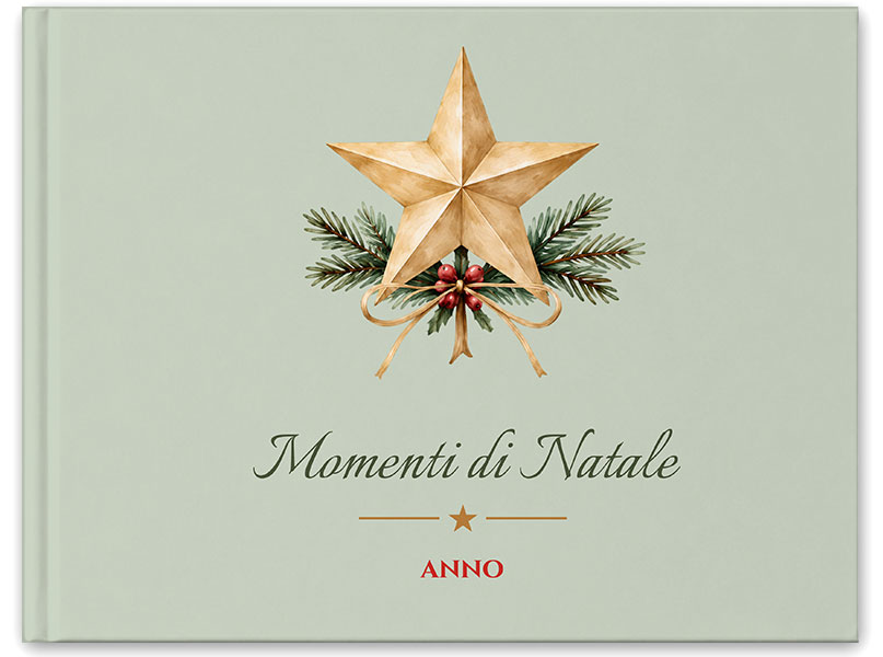 NATALE-STELLA-AGRIFOGLIO